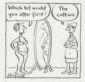 body image culture cartoon wilcox women naturism felicitys blog