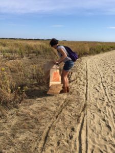 gunnison beach cleanup litter trash nude beach sandy hook nj yna felicitys blog