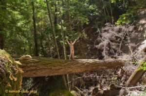 naked nature nudist man outdoors forest felicity's blog