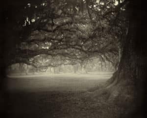 sally mann photographer southern landscapes felicitys blog