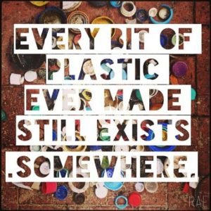 naturism zero waste plastic environmental pollution felicitys blog