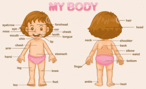 nudism kids children nude family naturism body diagram education felicitys blog