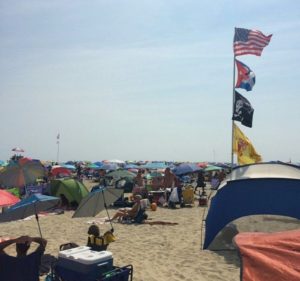 gunnison beach scene new jersey sandy hook felicitys blog