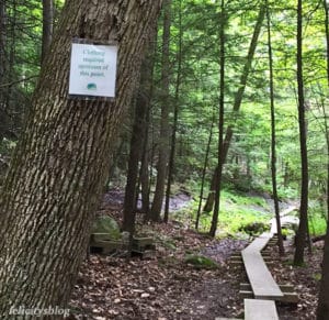 mohonk preserve nude sunbathing clothing required sign coxing trail new paltz felicitys blog