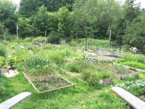 coventry nudist resort community garden vermont review felicitys blog